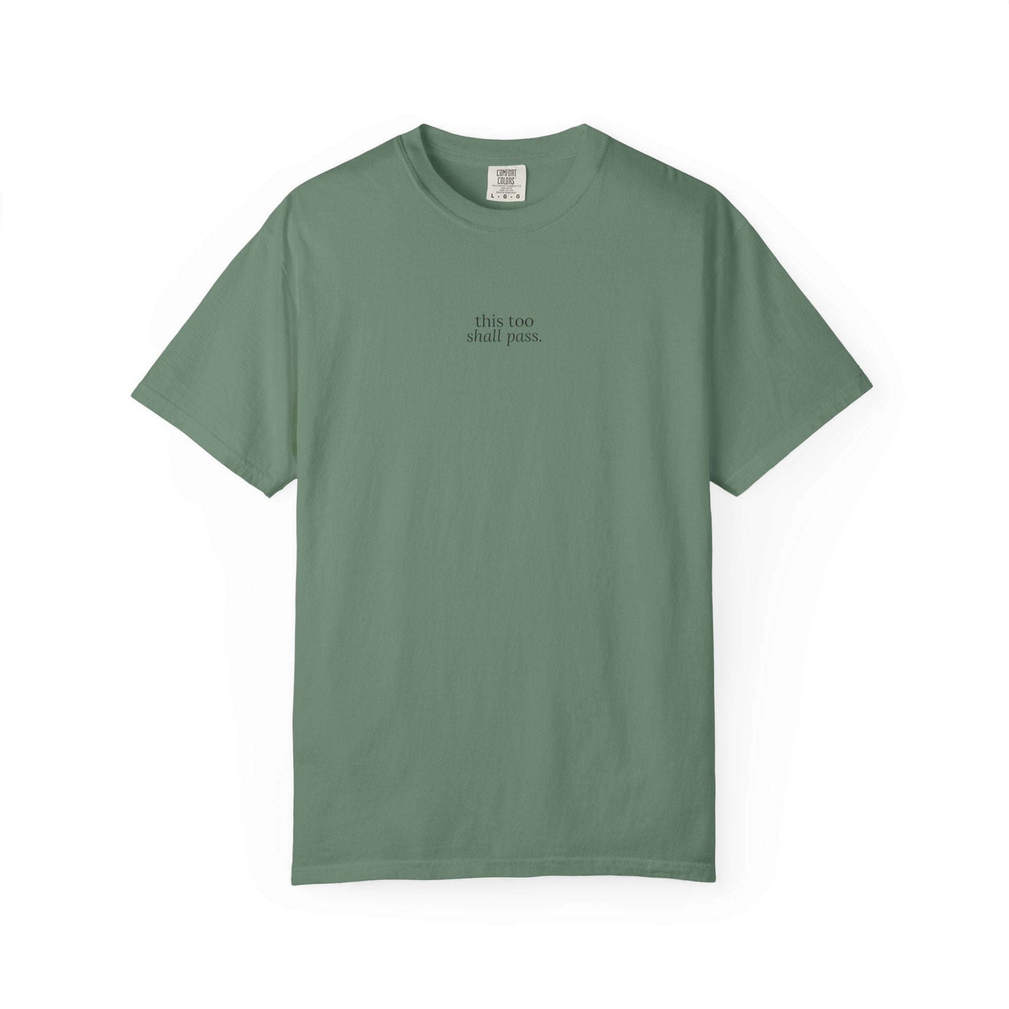 This too shall pass |  graphic text T-Shirt | small plant graphic | Boxy fit