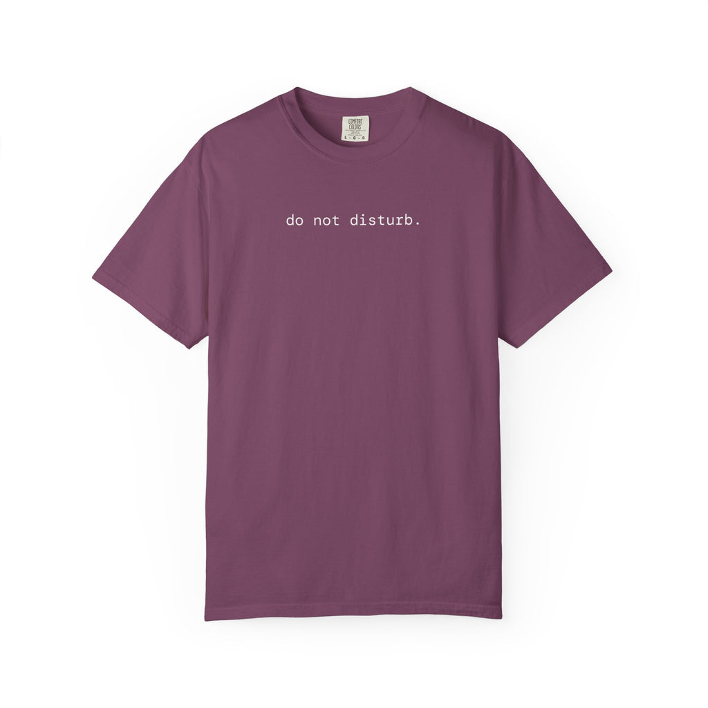 do not disturb. ghost t-shirt | relaxed fit
