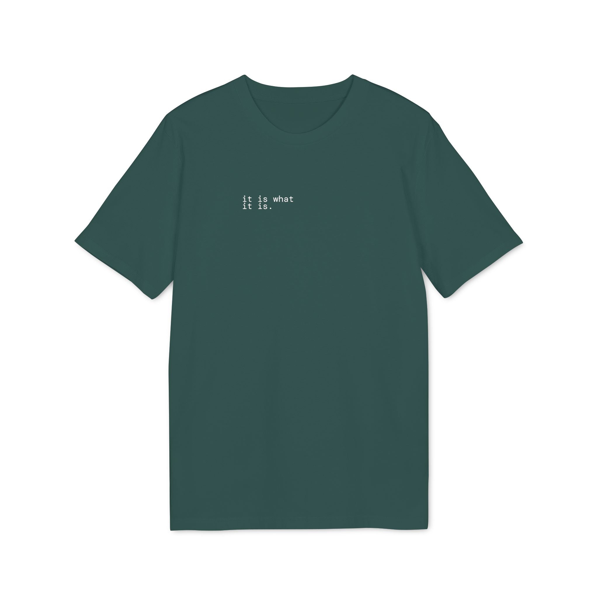It Is What It Is. T-Shirt | Minimalist Text | Regular Fit