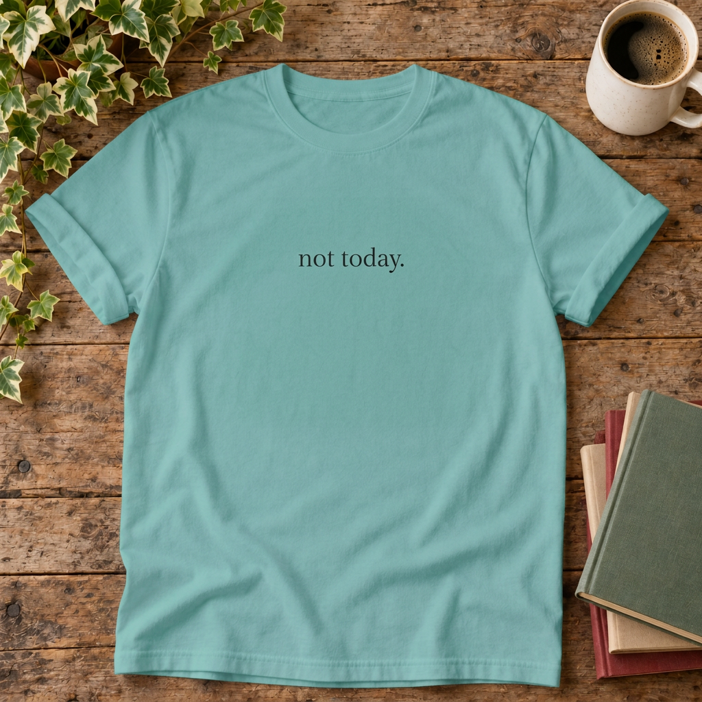 Not today. Seafoam rustic flat lay