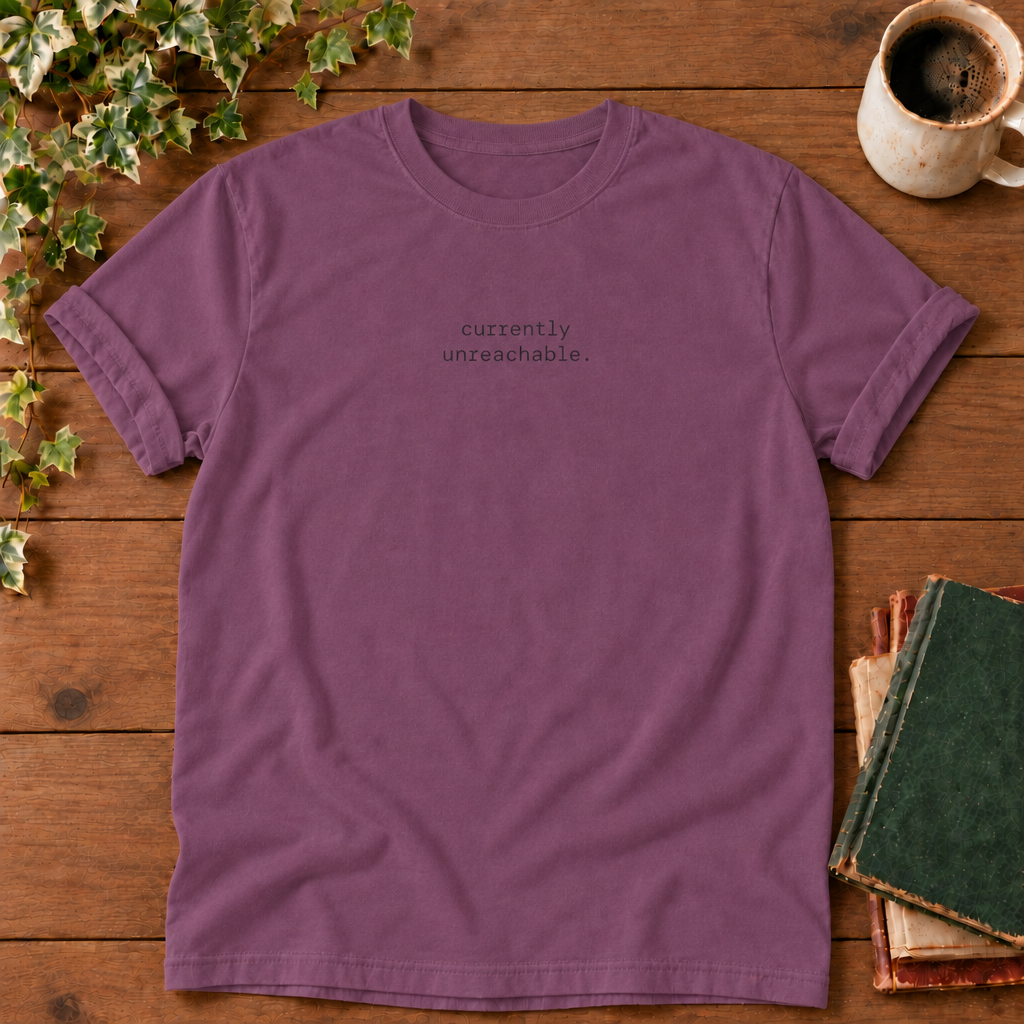 Currently unreachable. Berry t-shirt flat lay