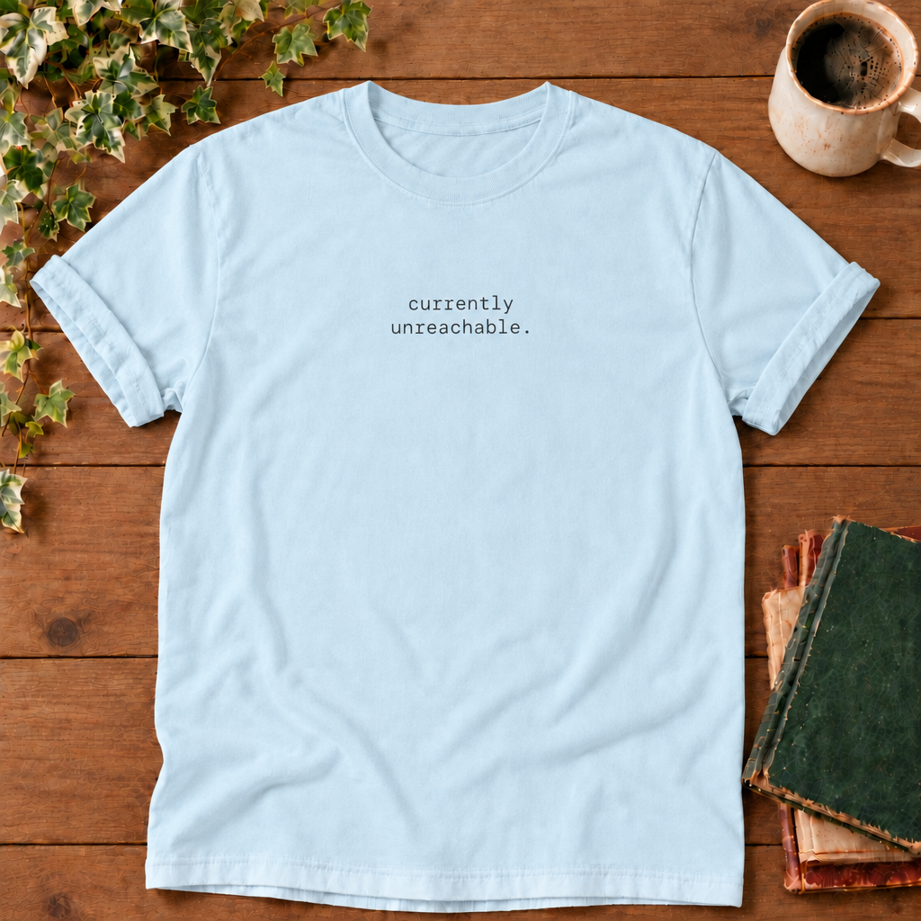 Currently unreachable. Chambray t-shirt flat lay